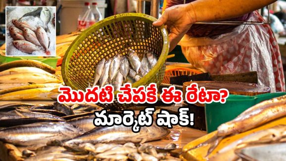 Godavari flood season: గోదావరి వద్ద కలకలం.. ఒక్క చేపకే వేలల్లో ధర!