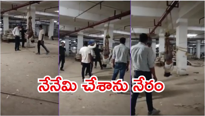 Viral Video: కార్మికుడిపై ప్రతాపం.. తలకిందులుగా వేలాడ దీసి, ఆ తర్వాత, వైరల్ వీడియో