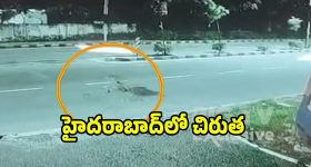Cheetah Video Viral: గోల్కొండలో చిరుత సంచారం... సోషల్ మీడియాలో వీడియో వైరల్