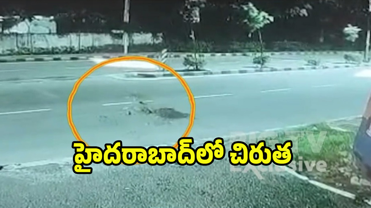 Cheetah Video Viral: గోల్కొండలో చిరుత సంచారం… సోషల్ మీడియాలో వీడియో వైరల్