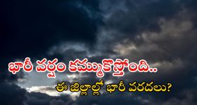 Fish Venkat Remuneration: ఫిష్ వెంకట్ ఒక్కో సినిమా రెమ్యూనరేషన్ ఎంతో తెలుసా.. మరీ దారుణం?