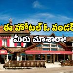 Hotel Arbez: ప్రపంచంలోనే వింతైన హోటల్.. ఇక్కడ లైన్ దాటితే మరో దేశంలోకే.. ఎందుకిలా?