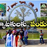 Zoo Park Night Safari: హైదరాబాద్ జూ పార్క్ లో నైట్ సఫారీ, ఎప్పటి నుంచి అంటే?