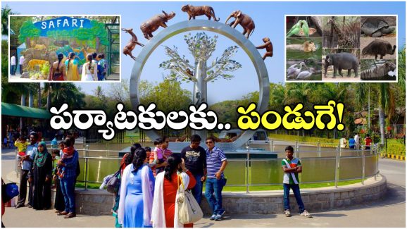 Zoo Park Night Safari: హైదరాబాద్ జూ పార్క్ లో నైట్ సఫారీ, ఎప్పటి నుంచి అంటే? Zoo Park Night Safari: హైదరాబాద్ జూ పార్క్ లో నైట్ సఫారీ, ఎప్పటి నుంచి అంటే?