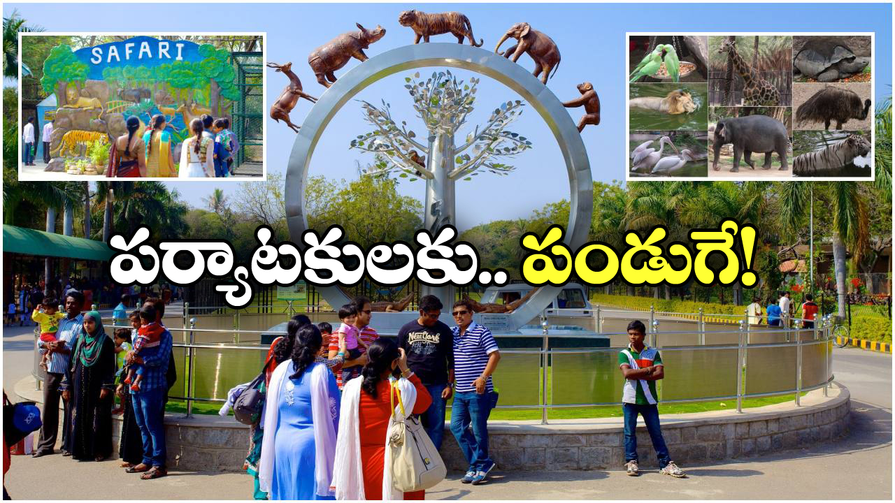 Zoo Park Night Safari: హైదరాబాద్ జూ పార్క్ లో నైట్ సఫారీ, ఎప్పటి నుంచి అంటే?