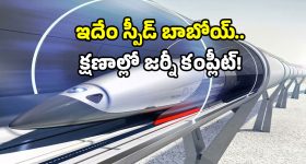 MS Dhoni : ధోని ఫామ్ హౌస్ దగ్గర ఉద్రిక్తత.. సీరియస్ అయిన సాక్షి.. వీడియో చూస్తే గూస్ బంప్స్ రావాల్సిందే..!