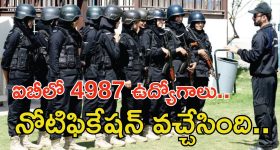 Fish Venkat : డీజే టిల్లు సినిమా వల్లే  ఫిష్ వెంకట్ చనిపోయాడా ? భార్య సంచలన కామెంట్స్