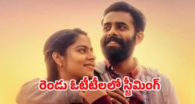 OTT Movie : కొత్తగా పెళ్లి... అంతలోనే పిల్లలు కావాలంటూ ఊహించని పని... ఓటీటీలో అదరగొడుతున్న మలయాళ మూవీ