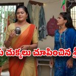 Illu Illalu Pillalu Today Episode: వేదవతికి కన్నీళ్లు.. భర్తలకు దూరమైన ప్రేమ, నర్మద.. శ్రీవల్లి టార్చర్ షురూ…