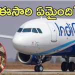 IndiGo flight: ఇండిగో విమానానికి తేనెటీగల సెగ.. ఏం జరిగింది?