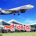 Tirupati: ఇండిగో విమానానికి తప్పిన ముప్పు.. 40 నిమిషాలు గాల్లోనే, టెన్షన్ పడిన ప్రయాణికులు