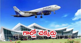 Tirupati: ఇండిగో విమానానికి తప్పిన ముప్పు.. 40 నిమిషాలు గాల్లోనే, టెన్షన్ పడిన ప్రయాణికులు