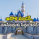 India Disneyland park: మన దేశంలో.. తొలి డిస్నీల్యాండ్ పార్క్.. ఈ అద్భుతం చూసేయండి!