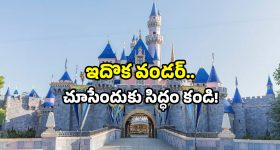 India Disneyland park: మన దేశంలో.. తొలి డిస్నీల్యాండ్ పార్క్.. ఈ అద్భుతం చూసేయండి!