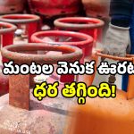 India gas price news: గ్యాస్ సిలిండర్ ధర తగ్గిందోచ్.. కానీ ఒక ట్విస్ట్ ఉంది.. అదేమిటంటే?
