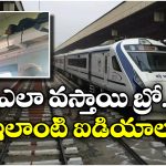 Indian Railways: లగేజ్ రాక్ లో పడుకున్న ప్రయాణీకుడు, ఇంకెక్కడా ప్లేస్ లేదా భయ్యా!