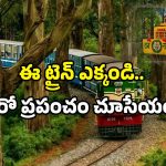 Indian Railways toy train: రైల్వే మరో సృష్టి.. ఫారెస్ట్ క్వీన్ ట్రైన్ వచ్చేసింది.. జర్నీలో అద్భుతాలు చూసేయండి!