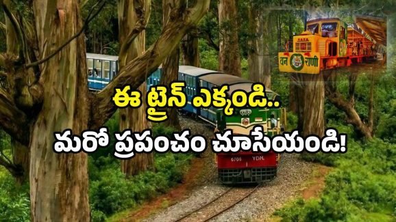 Indian Railways toy train: రైల్వే మరో సృష్టి.. ఫారెస్ట్ క్వీన్ ట్రైన్ వచ్చేసింది.. జర్నీలో అద్భుతాలు చూసేయండి!