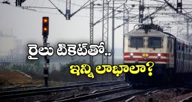 ChatGpt Solves: డాక్టర్లు పదేళ్లుగా కనిపెట్టలేని ఆరోగ్య సమస్యను.. పది నిమిషాల్లో పరిష్కరించిన చాట్ జీపీటీ