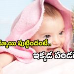 Inspiring woman india: అమ్మాయి పుట్టిందా? ఇక్కడ స్పెషల్ గిఫ్ట్స్ రెడీ! ఇంతకు ఇచ్చేది ఎవరంటే?