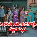 Intinti Ramayanam Today Episode: పల్లవి ప్లాన్ రివర్స్..అవనిని ఇంటికి రమ్మని పిలిచిన పార్వతి..ప్రణతికి షాక్..