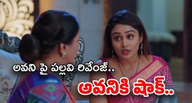 Shruti Haasan: వార్ 2 Vs కూలీ.. పోటీపై అదిరిపోయే సమాధానం ఇచ్చిన శృతిహాసన్!