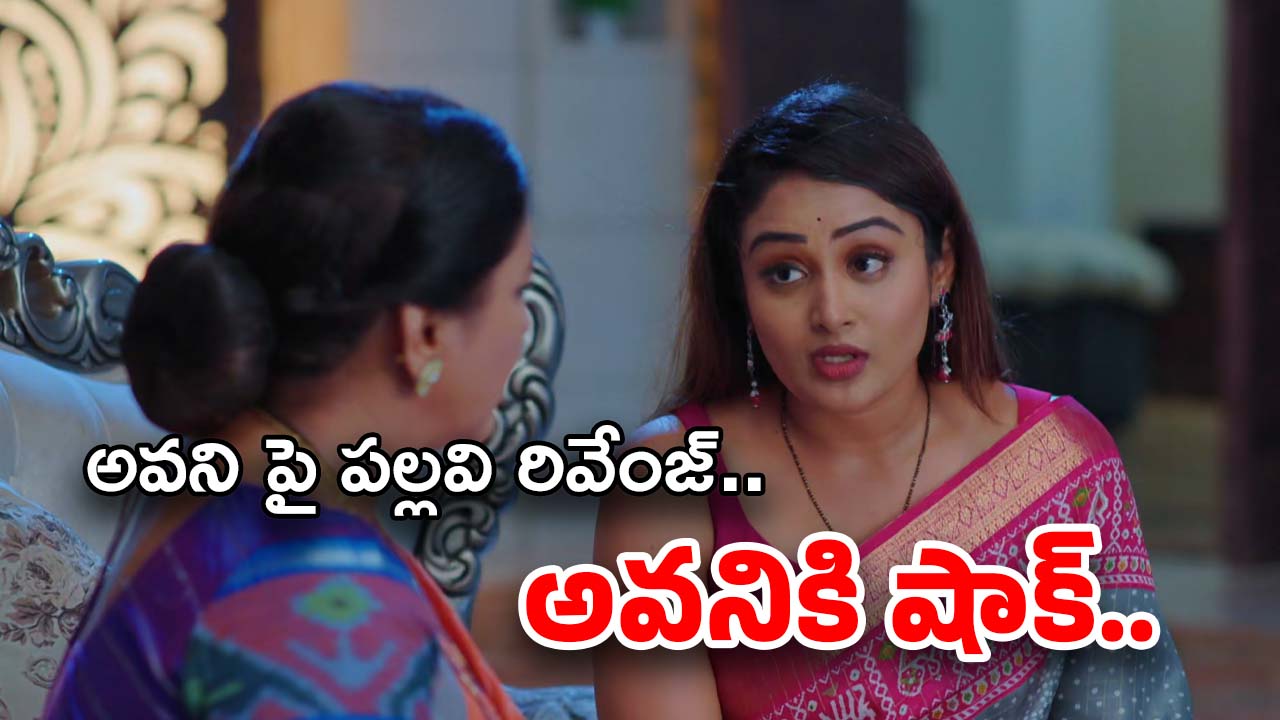 Intinti Ramayanam Today Episode: పార్వతికి నిజం తెలిసిపోతుందా?.. ప్రణతి వల్ల కుటుంబానికి అవని దూరం..?