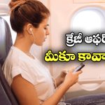 Free Flight Journey: ఫ్రీగా ఫ్లైట్ జర్నీ, వారికి మాత్రమే అవకాశం!