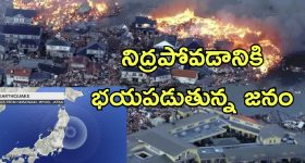 Japan EarthQuakes: గత రెండు వారాల్లో 1000 భూకంపాలు.. ఆ దీవులను ఖాళీ చేయిస్తున్న జపాన్, ఏం జరుగుతోంది?