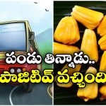 RTC Driver: ఆ పండు తిన్న ఆర్టీసీ డ్రైవర్.. ఆల్కహాల్ టెస్ట్ లో పాజిటివ్, అసలు దోషి ఎవరంటే?