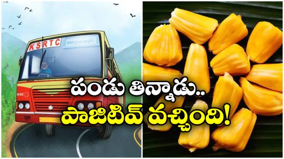 RTC Driver: ఆ పండు తిన్న ఆర్టీసీ డ్రైవర్.. ఆల్కహాల్ టెస్ట్ లో పాజిటివ్, అసలు దోషి ఎవరంటే?