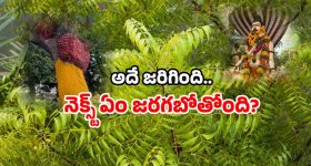 UPI Transactions: కర్నాటక వ్యాపారులు యూపీఐ ఎందుకు వద్దంటున్నారు? అంత నష్టమా?