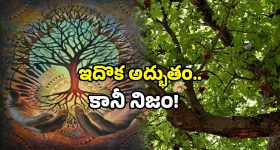 Sigachi Blast Incident: 2 నెలల కిందట ప్రేమ పెళ్లి.. పాశమైలారం ప్రమాదంలో ఇద్దరు..