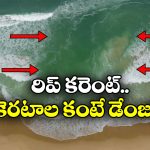 RIP Current: బీచ్ లో ఎప్పుడైనా కెరటాలు ఇలా కనిపిస్తే.. అస్సలు దిగొద్దు.. ఎందుకంటే?