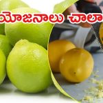 Lemon Peels Benefits: నిమ్మ తొక్కల పోషకాలు.. అవన్నీ మటుమాయం