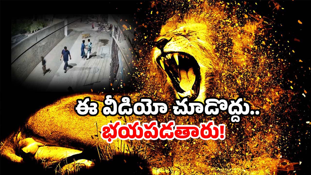Lion attack viral video: పెంట చేసిన పెంపుడు సింహం.. సిటీ నడిబొడ్డులో జనాలపై దాడి