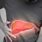 Liver Health Truths: లివర్‌ని డ్యామేజ్ చేసే అలవాట్లు.. శరీరంలో ఫైటర్ అవయవాన్ని కాపాడుకోండిలా