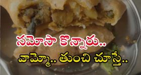 Lizard in Samosa: సమోసాలో బల్లి ప్రత్యక్షం.. ఎక్కడంటే?