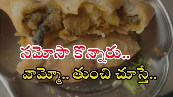 Lizard in Samosa: సమోసాలో బల్లి ప్రత్యక్షం.. ఎక్కడంటే?