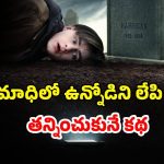 OTT Movie : చచ్చినోడితో పాటే సమాధిలో ఫోన్ పాతిపెట్టే పిల్లాడు… కట్ చేస్తే పార్ట్స్ ప్యాక్ అయ్యే ట్విస్ట్
