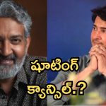 SSMB29 : బిగ్ బ్రేకింగ్, మహేష్ బాబు, రాజమౌళి సినిమా షూటింగ్ క్యాన్సిల్