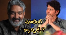 Bus Accident: ప్రయాణికుల బస్సు బోల్తా.. 10 మంది స్పాట్ డెడ్