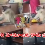 Monkey Video Viral: హోటల్‌లో టిఫిన్ చేసిన కోతి.. సోషల్ మీడియాలో వీడియో వైరల్