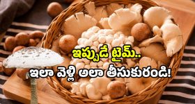 BAN VS PAK: 4 గురు డకౌట్...30 పరుగులకే 6 వికెట్లు... పాకిస్థాన్ ఇజ్జత్ మొత్తం పాయె.. ఇక గంగలో దూకేయండి