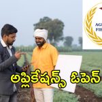 IBPS Agriculture Officer: నెలకు రూ. 85,920 వేతనం.. 310 ఉద్యోగ ఖాళీలు