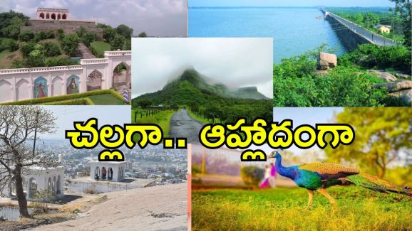 Hyderabad Monsoon Photography: హైదరాబాద్లో బెస్ట్ ఫోటోగ్రఫీ షాట్స్ కోసం చూస్తున్నారా.. వర్షాకాలంలో అందమైన ప్రదేశాలివే.. Hyderabad Monsoon Photography: హైదరాబాద్లో బెస్ట్ ఫోటోగ్రఫీ షాట్స్ కోసం చూస్తున్నారా.. వర్షాకాలంలో అందమైన ప్రదేశాలివే..