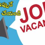 DSSSB Recruitment 2025: నెలకు రూ.1,51,100 వరకు వేతనం.. 2,119 ఉద్యోగ ఖాళీలు