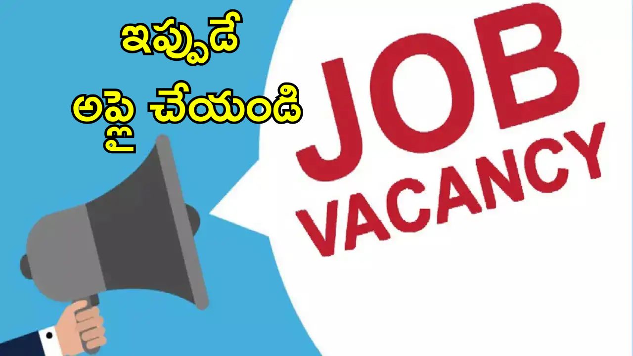 DSSSB Recruitment 2025: నెలకు రూ.1,51,100 వరకు వేతనం.. 2,119 ఉద్యోగ ఖాళీలు