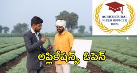 Illu Illalu Pillalu Today Episode: భర్త కోసం కష్టపడుతున్న నర్మద.. షాక్ లో శ్రీవల్లి.. ధీరజ్, ప్రేమ ఫైట్..