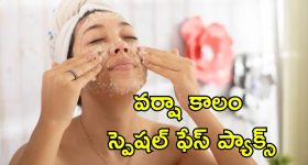 Monsoon Face Packs: వర్షాకాలంలో చర్మ ఆరోగ్యం కోసం ఫేస్ ప్యాక్స్.. ఇంట్లోనే తక్కువ ఖర్చుతో తయారు